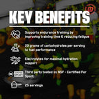 BARE PERFORMANCE NUTRITION, BPN G.1.M Go One More Sport, Endurance Training Fuel, Superior Carbohydrate & Electrolytes Powder Formula, Reduce Fatigue, Fruit Punch, 25 Servings
