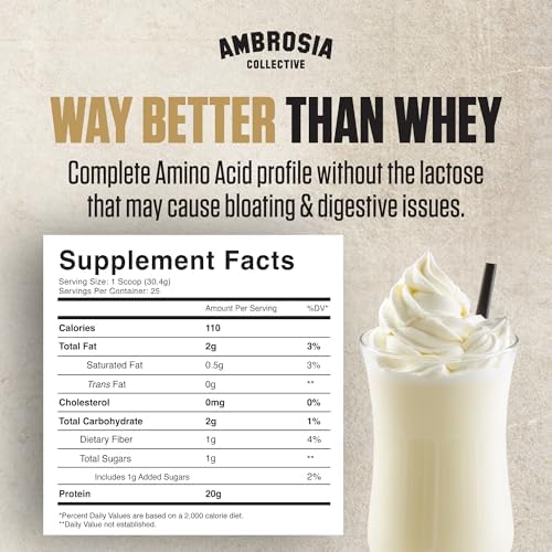 Ambrosia Plant Based Protein Powder 20g | Clean Vegan Pea Protein Powder | Gluten & Dairy Free, Keto Friendly, No Added Sugar | 25 Servings | Vanilla