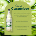 Monin - Cucumber Syrup, Refreshing Sweetness, Natural Flavors, Great for Mocktails, Cocktails, Lemonades, Teas, and Sodas, Non-GMO, Gluten-Free (1 Liter, 2-Pack)