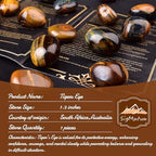 Super Large Polished Tigers Eye Healing Crystal Stone – 1 Pc 1.2" Worry Stone for Anxiety, Pocket Palm Gemstone, Handpicked Natural Tumbled Rock for Meditation, Reiki, Chakra, Home Decor