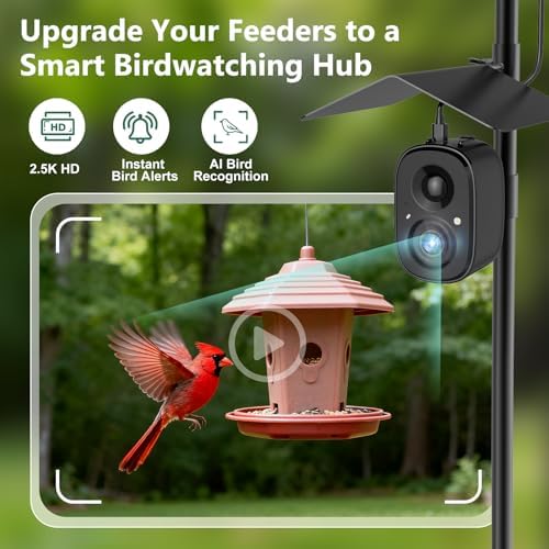 Smart Bird Feeder Camera Solar Powered with Pole, 2.5K HD Birdwatching Live Video Auto Capture, AI Identification & Instant Notification, Wireless Bird House/Bath Cam Outdoor, Gift for Bird Lovers