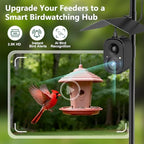 Smart Bird Feeder Camera Solar Powered with Pole, 2.5K HD Birdwatching Live Video Auto Capture, AI Identification & Instant Notification, Wireless Bird House/Bath Cam Outdoor, Gift for Bird Lovers