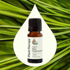 Plant Therapy Organic Atlas Cedarwood Essential Oil 100% Pure, USDA Certified Organic, Undiluted, Natural Aromatherapy for Diffusion, Skin, and Hair, Therapeutic Grade 10 mL (1/3 oz)