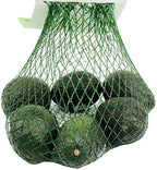 Small Avocados, 6 Ct