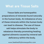 Homeopathic Tissue/Cell Salts Bundle 3X, Dr. Schuessler Cell Salts Full Size Product 900 Tablets Each x 12.