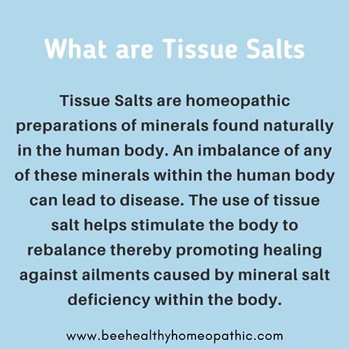Homeopathic Tissue/Cell Salts Bundle 6X, Dr. Schuessler Cell Salts Full Size Product 900 Tablets Each x 12.