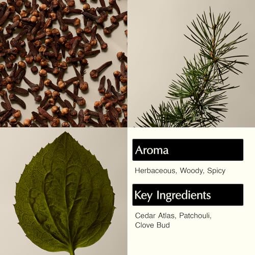 Aesop Eleos Nourishing Body Cleanser | Moisturizing Body Wash for Dry, Dehydrated Skin | Made with Shea Butter & Lavender Oil | 500 mL / 16.9 oz