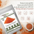The Spice Way Red Pepper Premium Cayenne Ground - 8 oz - pure chile powder - Cayenne Powder, No GMO's, Kosher Certified