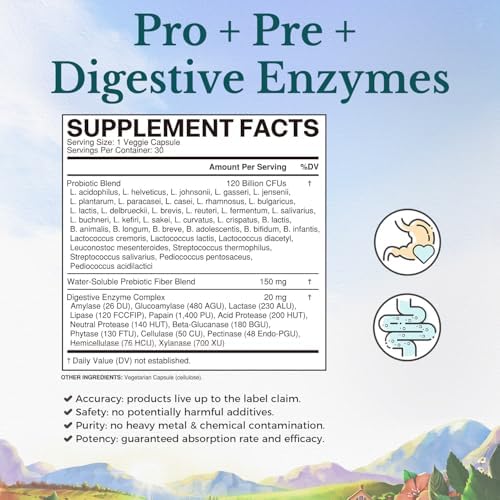 VITALITOWN Probiotics 120 Billion CFUs | 36 Strains, with Prebiotics & Digestive Enzymes for Men Women | Shelf Stable | Digestive Health & Immune Support | Vegan, Non-GMO | 30 Delayed Release Veg Caps