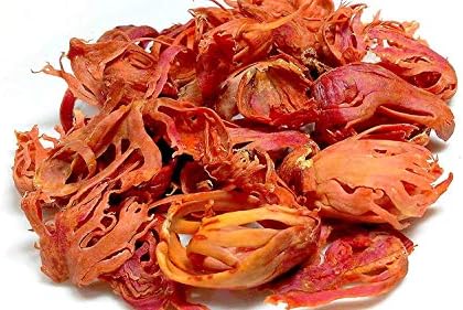 OnMexa Fresh Whole Mace (Javitri) – Natural & Handpicked Jathipatri Spice for Culinary Use | Aromatic Indian Spice for Cooking & Kitchen Pantry (2oz)