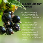 Blackcurrant Powder - Natural Powder for Baking, Flavoring, Smoothies and Sports Nutrition, 8 oz