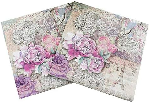 WallyE Graphic Patterns Decoupage Paper Napkins, French Garden Shabby Chic Inspired Chintz Luncheon Cocktail Napkins for Bridal Shower or Wedding, 20 Pack