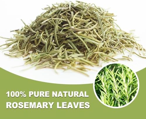 TEARELAE - Rosemary Tea - 1.5g x 50 Count - 100% Pure Rosemary Leaves Tea Bag - Country of Origin Egypt - Aid Digestion & Support Respiratory Health