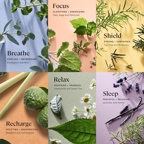 SPRIG BY KOHLER Body & Linen Mist Variety Pack, 100% Natural Fragrance & Essiential Oils, for Linens, Clothing, or Skin - Six 1 oz scents