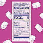 ORBIT Bubblemint Sugar Free Chewing Gum Travel Essentials Mint Spring Break Travel Gum, 120 Ct Resealable Bottle