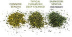 Organic Japanese Sencha - First Harvest Saemidori Cultivar 100g (3.5oz) bag - Loose Leaf Green Tea