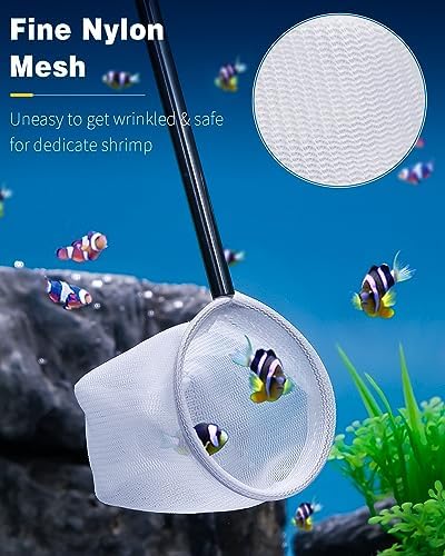 Pawfly Aquarium Shrimp Net, 2 Inch Tiny Fish Tank Net with Extendable Stainless Steel Handle, Soft Round Fine Mesh for Shrimp Baby Fish Food Residue Debris Skimming