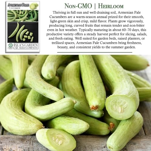 Armenian Pale Green Cucumber Seeds (Cucumis sativus) – 100+ Non-GMO & Heirloom Seeds for Planting, Long Crisp Light-Green Cucumbers for Fresh Eating & Salads, by Isla’s Garden Seeds, Gift Idea