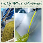 Polyphenol Rich Extra Virgin Olive Oil by San Giuliano, Pure 100% Italian EVOO from Italy, Cold Pressed for Everyday Cooking, Non-GMO Certified, Sustainably Farmed, 3 Liter Tin
