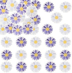 Ephlyn 48Pcs Edible Daisy Cupcake Toppers Wafer Paper Flower Cake Topper Decorations Flower Chrysanthemum Party Decorations for Birthday Wedding Birthday Party Supplies Purple