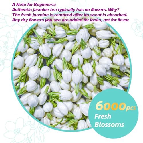 Essencesip Organic Jasmine Green Tea Loose Leaf, 4oz Tin – Scented 5x with 6,000 Fresh Jasmine Blossoms, Low Caffeine, Antioxidant-Rich