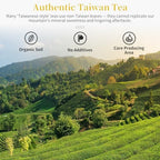 CHADUO Dong Ding Oolong Tea Loose Leaf Taiwan High Mountain Oolong Tea Taiwanese Tung Ting Gaoshan Ulong Tea 150g 5.3oz from Lugu Township Orchid Aroma 凍頂乌龙茶 乌龙茶