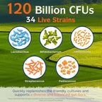 Innate Vitality Probiotics 120 Billion CFUs for Men & Women, 34 Strains with Prebiotics & Digestive Enzymes, Immune & Digestive Health, Delayed Release, Shelf Stable, 30 Vegan Capsules