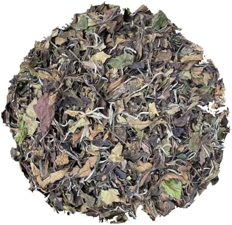 HOYNISE - Organic White Tea Loose Leaf - Moonlight White Tea - Naturally Smooth Flavor - High Elevation Grown - Rich in Antioxidants, 25 Cups/1.76oz