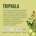 Banyan Botanicals Organic Triphala Powder – Daily Digestive Support & Gentle Colon Cleanse – Pure Amla, Haritaki & Bibhitaki for Gut Microbiome Health & Regularity – 1/2 lb – USDA Organic