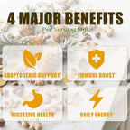 Pineapple Ginger Shots, Ginger Powder | Turmeric Supplement, Magnesium, Vitamin C, D, B12 | Digestive Health & Antioxidant | Gluten Free, Non-GMO | 6.35 Oz, Spoon Provided
