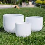 RYAN DVAN Crystal Singing Bowls Set of 3 ¨C 6" B Crown, 8" G Throat, 10" F Heart bowls,Quartz Chakra Sound Bowls for Meditation & Healing, with Case, Mallet & Suede Striker