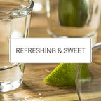 Monin - Mojito Mix Syrup, Sweet Herbal Mint Flavor, Great for Frozen Cocktails, Mocktails, & Delicious Desserts, Gluten-Free, Vegan (1 Liter, 4-Pack)