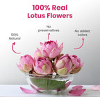 BLUE TEA - Pink Lotus Flower Tea - 1.40 Oz - 20 Cups | SUPER ANTIOXIDANT | Refreshing - Herbal Tea - Caffeine Free - Flower Based - Detox - Non Bitter - Non-GMO | Pet Jar Packaging