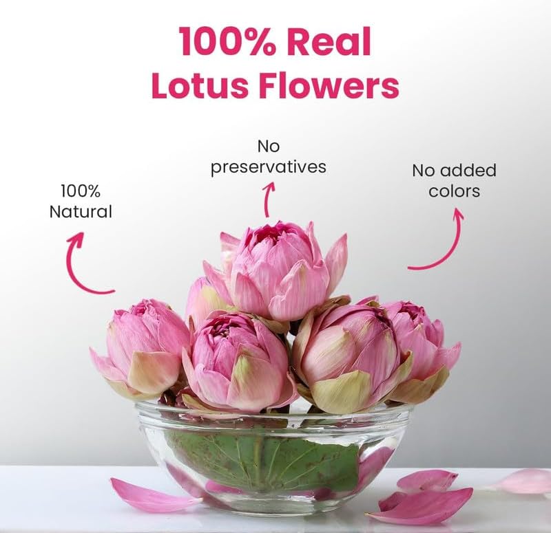 BLUE TEA - Pink Lotus Flower Tea - 1.40 Oz - 20 Cups | SUPER ANTIOXIDANT | Refreshing - Herbal Tea - Caffeine Free - Flower Based - Detox - Non Bitter - Non-GMO | Pet Jar Packaging