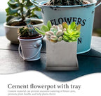 Beaupretty Cement Succulent Planter with Tray, Decorative Indoor Flower Pot for Small Plants, Imitation Stone Texture Garden Planter for Desktop and Patio Use