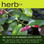 HerbLk Premium Ceylon Cinnamon Dried Leaves, 100% Natural Loose Leaf Tea, 1Oz / 28g, 50+ Whole Leaves, Organic, No Additives, No Caffeine, Vegan, Non-GMO, From Sri Lanka