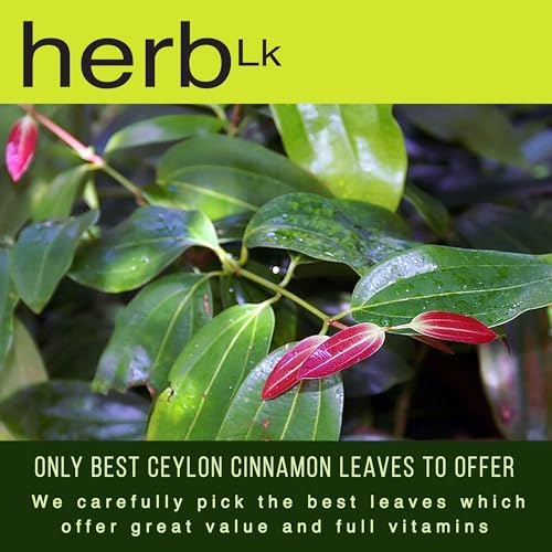 HerbLk Premium Ceylon Cinnamon Dried Leaves, 100% Natural Loose Leaf Tea, 1Oz / 28g, 50+ Whole Leaves, Organic, No Additives, No Caffeine, Vegan, Non-GMO, From Sri Lanka