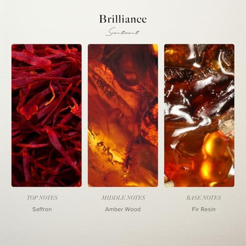 Scentiment Diffuser Oil - Brilliance Designer Collection | Aromatherapy Home Fragrance | Luxurious Scent with Notes of Saffron, Amberwood, Fir Resin (120 ml / 4.06 Fl Oz)