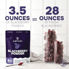 Jungle Powders Blackberry Powder 3.5 Ounce Bag Freeze Dried Blackberries Fruit Additive Free Unsweetened Smoothie Superfood Nordic Wild Blackberry Extract for Baking Flavoring Dry Black Berry Powder