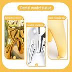 Dental Tooth Model Decoration for Office Tooth Model Gift for Display Decoration Clinic Desktops Dental Student Gift(Golden)