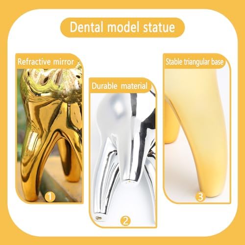 Dental Tooth Model Decoration for Office Tooth Model Gift for Display Decoration Clinic Desktops Dental Student Gift(Golden)