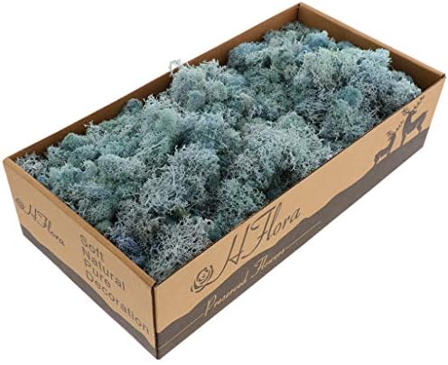 Natural Norwegian Reindeer Moss Preserved Dried Moss Craft Flower Stamen Indoor Outdoor Decoration (Light Blue)