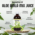 Basic Ayurveda Aloe Vera & Amla Herbal Mix Juice | 32.46 Fl Oz (960ml) | Supports Digestion, Immunity & Detox | Rich in Natural Vitamin C | No Added Sugar | Gluten Free, Non-GMO & Vegan