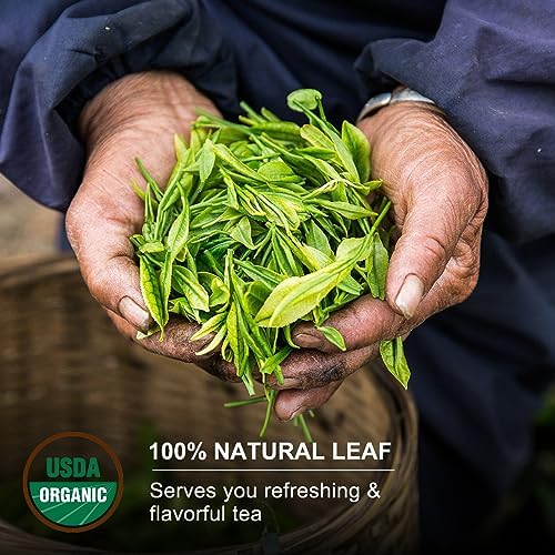 KHS Premium Organic White Tea, 3.53 Oz USDA Certified Grade A White Tea, Aged White Leaves with Fresh And Sweet Flavor, White tea Loose Leaf with Simple and Natural Methods