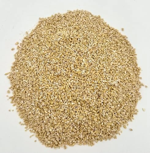 Wheatland Steel Cut Oats, 20lb Bucket, Lab Tested Chemical Free, 4 Gallon HDPE Bucket with Mylar Liner & Oxygen Absorber, 15 Year Shelf Life, USA Grown, NON GMO, Kosher, Farm Fresh Flavor, 40 Year Legacy in Food Storage