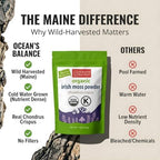 Ocean’s Balance Clean – Wild‑Harvested Maine Irish Sea Moss (Chondrus crispus) Powder | Vegan • Lab‑Tested Purity • 90+ Mineral Rich • Skin, Thyroid & Digestive Support 4 oz