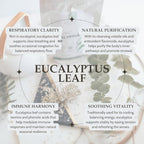 Elanen Naturals Organic Eucalyptus Leaf Tea 4 oz. (113g), USDA Organic, Eucalipto Hojas Naturales, Leaves, Te De Eucalipto, Eaucalyptus, Calyptus, Cut & Sifted