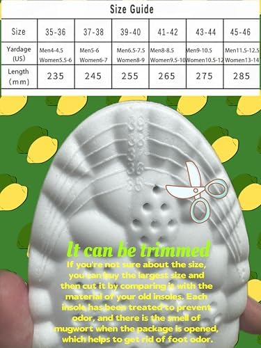 Insoles for Women man,Cloud Soles for Men Women,4D Cloud Soles for Men,Anti Fatigue, Shock Absorption, Foot Pain Relief (Gray, L)