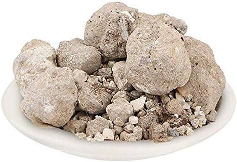 KR Vanshlochan Asli - 200Grm - Bambusa Arundinacea Gum - Banslochan Asli - Bambusa Vulgaris - Wild Bamboo Camphoor - वंशलोचन
