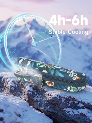 YOUSHARES Portable Insulin Cooler Travel Case - TSA Approved Diabetic Medication Cooling Bag, EVA Insulated Organizer for Epi Pens, Refrigerated Diabetes Supplies Carrying Storage Kit with 2 Ice Pack